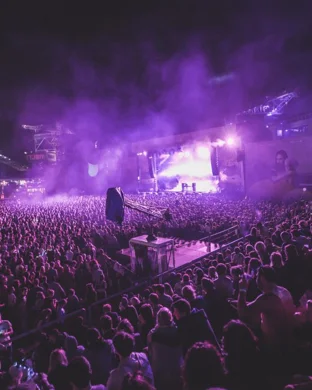 Faux Fest San Diego