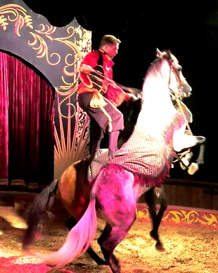 Cirque Ma'Ceo Del Mar