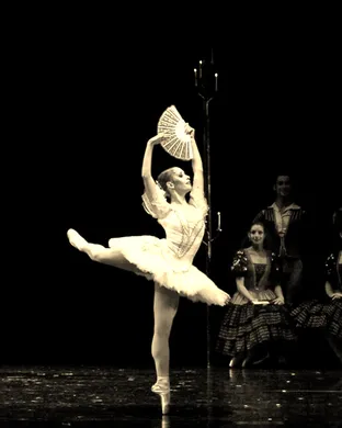 City Ballet Of San Diego: Swan Lake