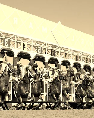 Del Mar Thoroughbred Racing