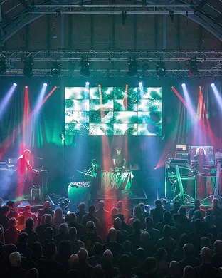 Elephante San Diego