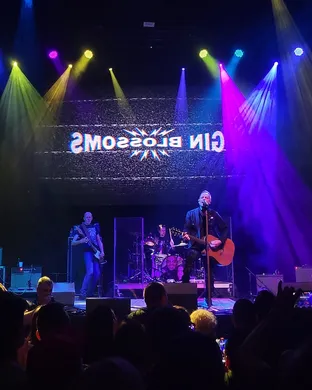 Gin Blossoms