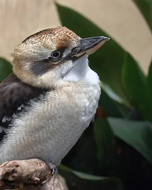 Matt Richards San Diego