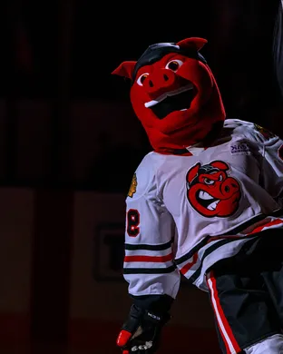 Rockford Icehogs San Diego