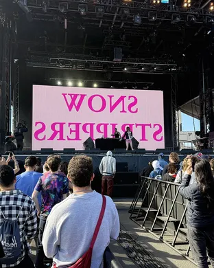 Snow Strippers San Diego