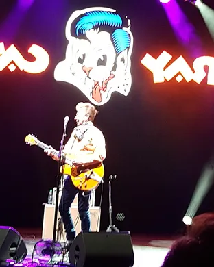Stray Cats Del Mar