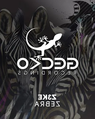 Zebra San Diego